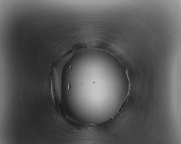 X0000089751058200706281621
