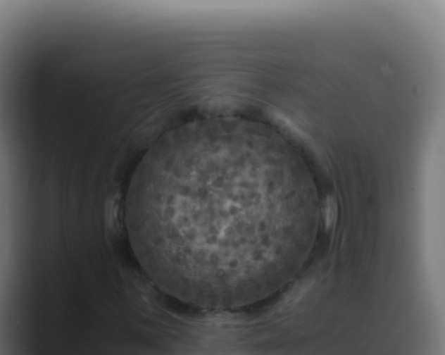 X0000089751059200706281621