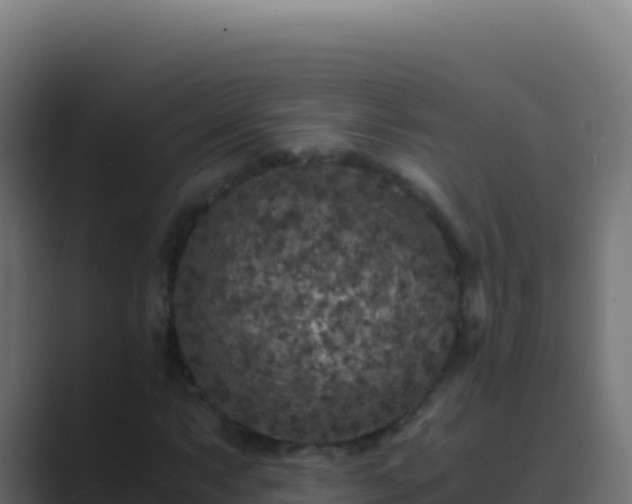 X0000089751063200706281621