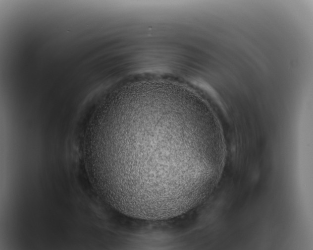 X0000089751064200706281621