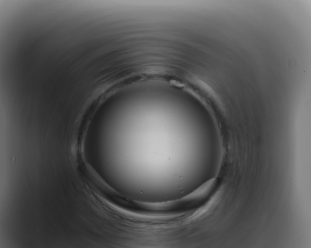 X0000089751065200706281621