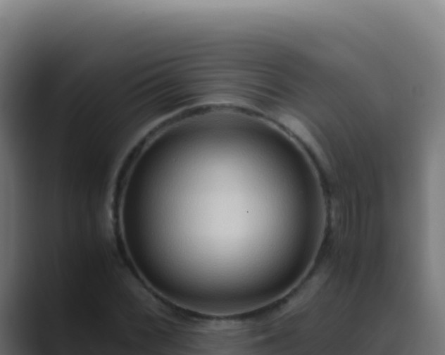 X0000089751068200706281621