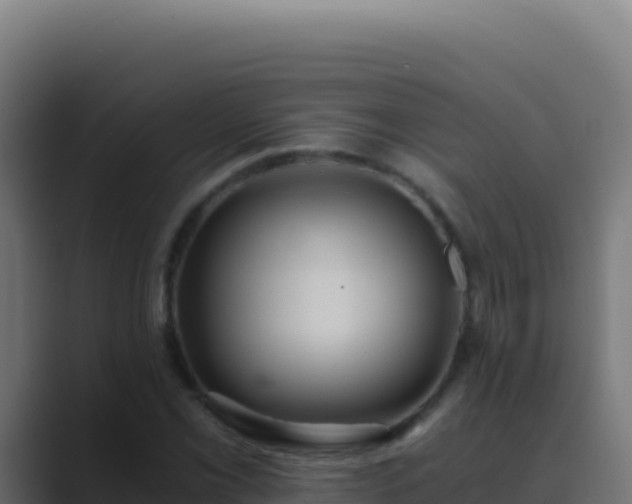 X0000089751069200706281621