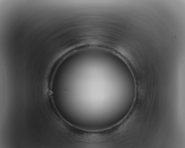 X0000089751070200706281621