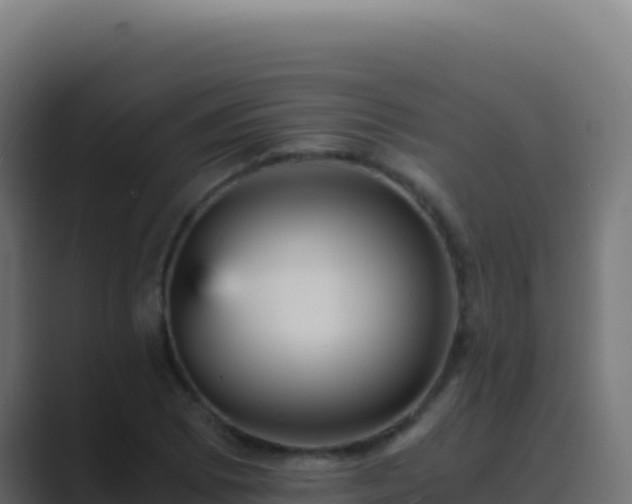 X0000089751073200706281621