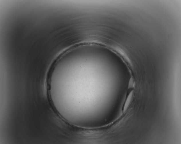 X0000089751076200706281621