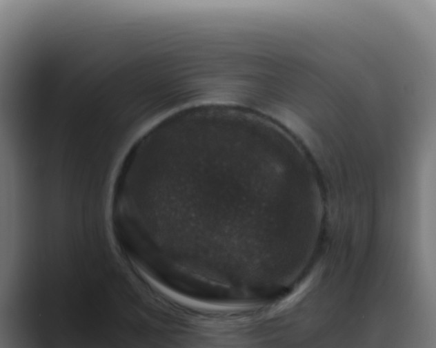 X0000089751077200706281621