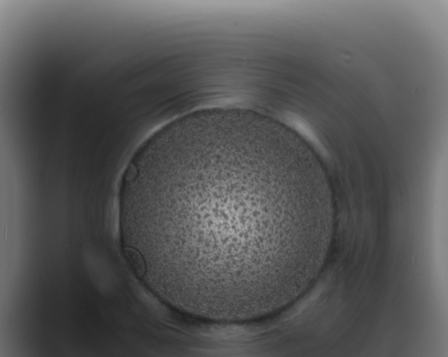 X0000089751079200706281621