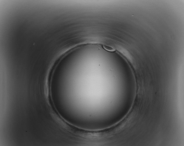 X0000089751080200706281621