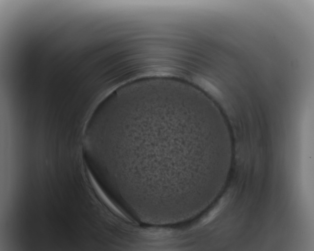 X0000089751081200706281621