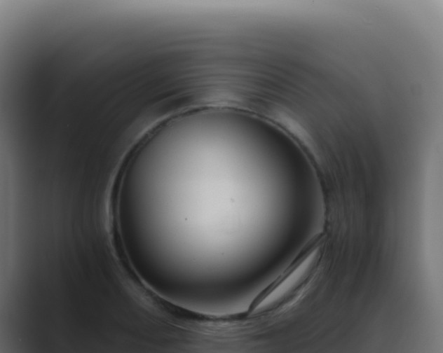 X0000089751082200706281621