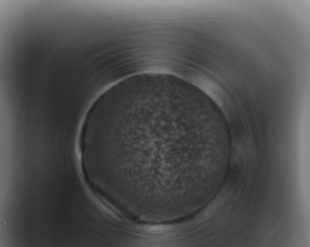 X0000089751084200706281621