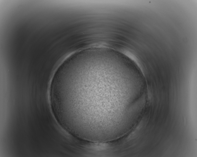 X0000089751090200706281621