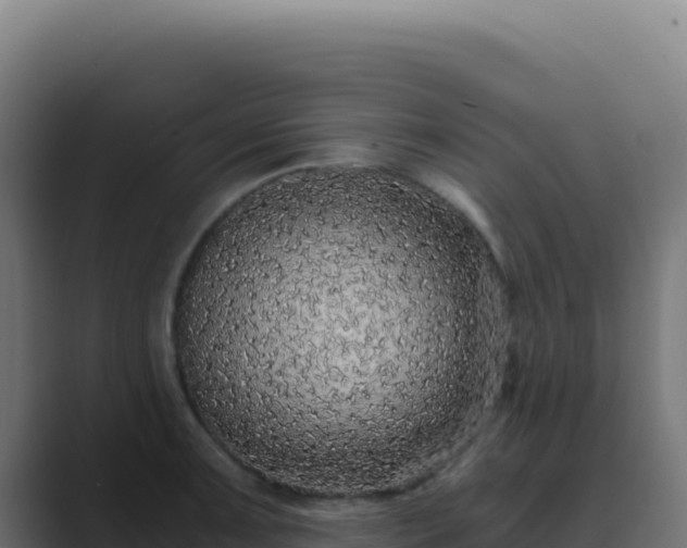 X0000089751091200706281621