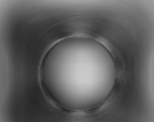 X0000089751094200706281621