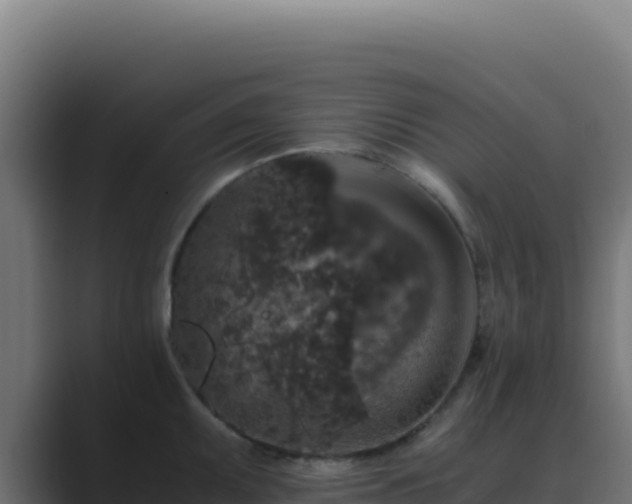 X0000089751095200706281621