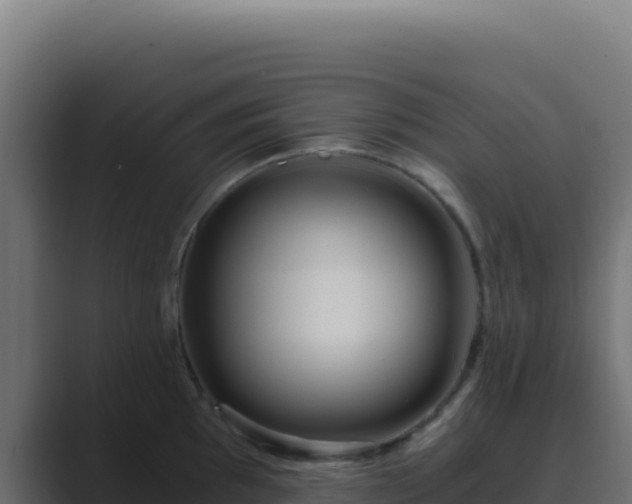 X0000089751097200706281621