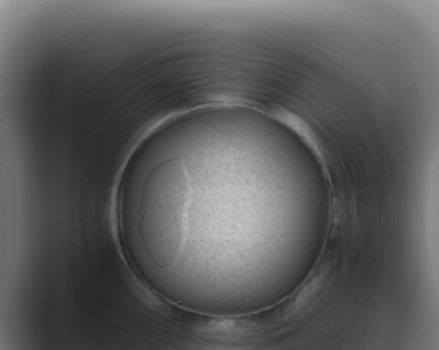 X0000089751098200706281621