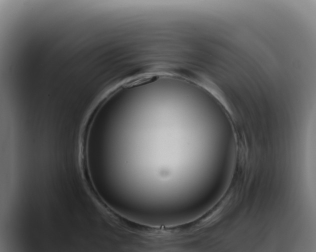 X0000089751101200706281621