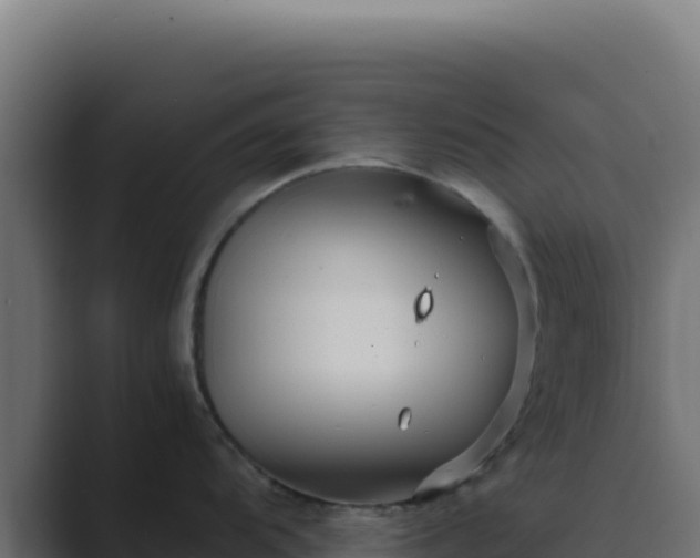 X0000089751104200706281621