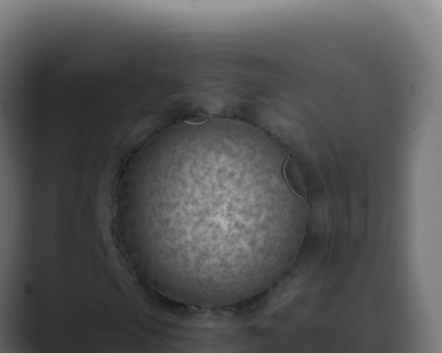 X0000089751105200706281620