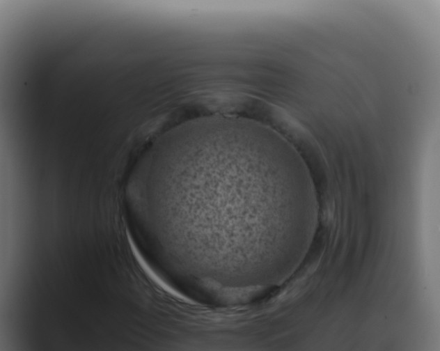 X0000089751108200706281620