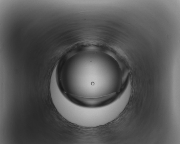 X0000089751110200706281620