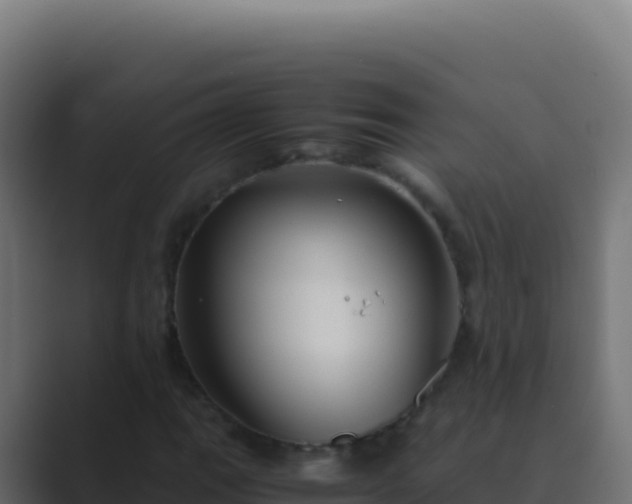 X0000089751111200706281620
