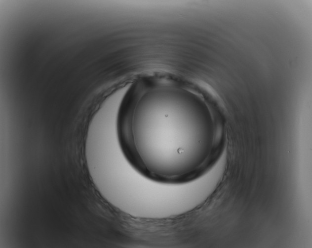 X0000089751112200706281620