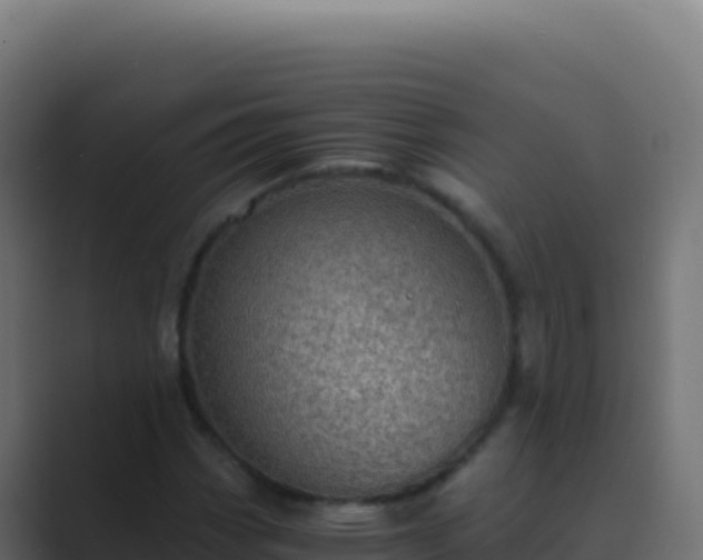 X0000089751113200706281620