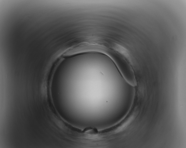 X0000089751114200706281620