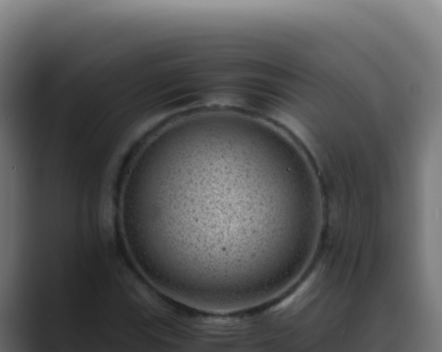 X0000089751115200706281620