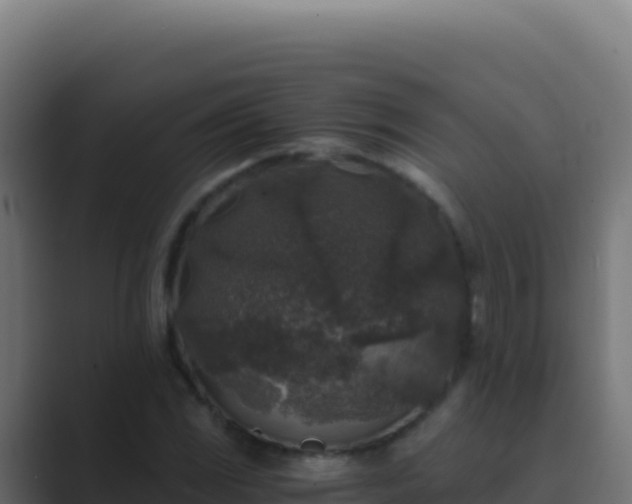 X0000089751117200706281620