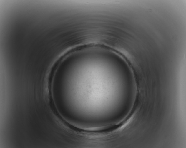 X0000089751118200706281620