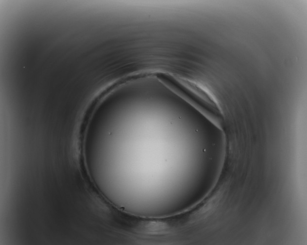X0000089751119200706281620