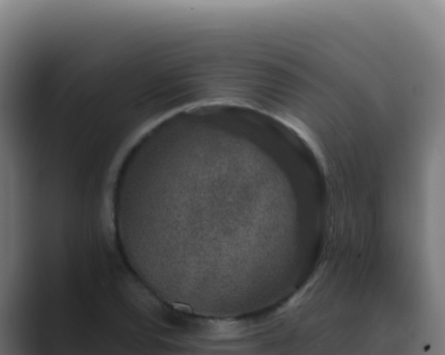 X0000089751120200706281620