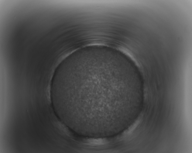 X0000089751121200706281621