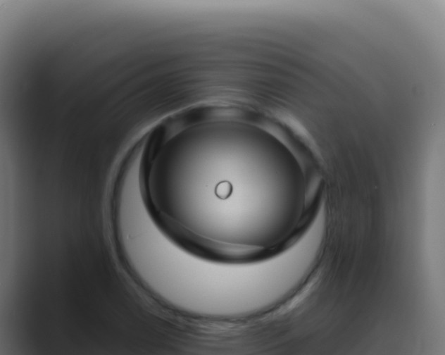 X0000089751122200706281621