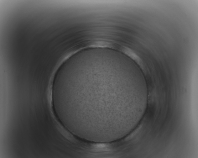 X0000089751130200706281621