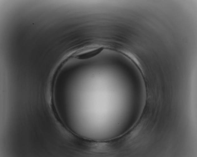 X0000089751131200706281621
