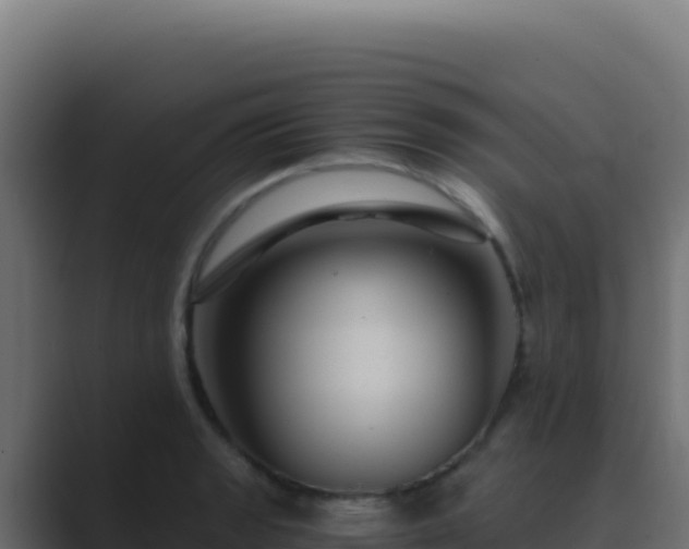 X0000089751133200706281621