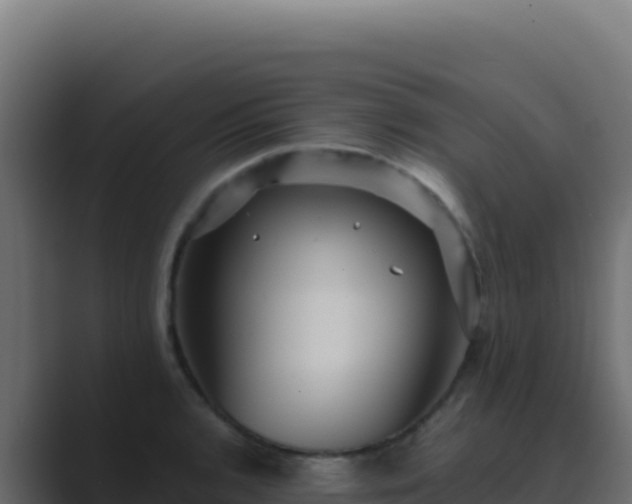 X0000089751136200706281621