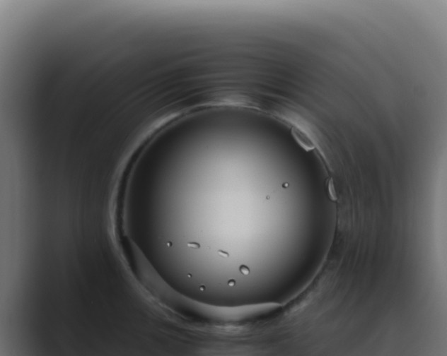 X0000089751139200706281621