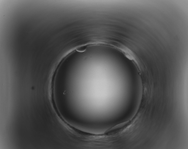 X0000089751143200706281621