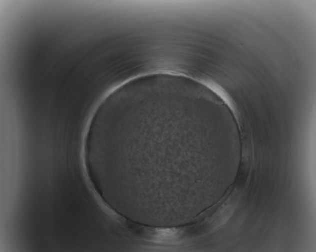 X0000089751144200706281621