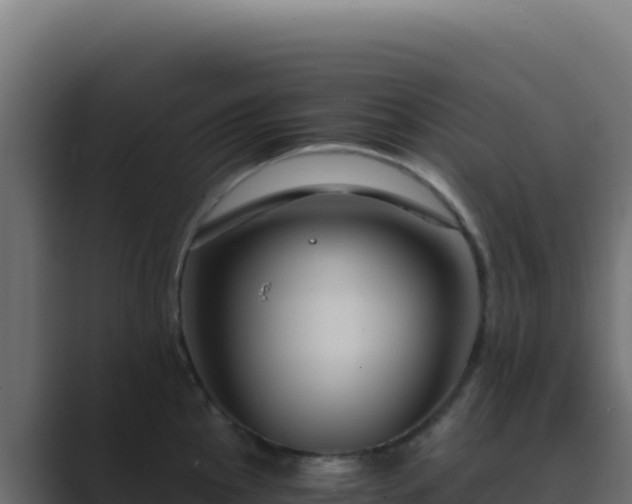 X0000089751145200706281621