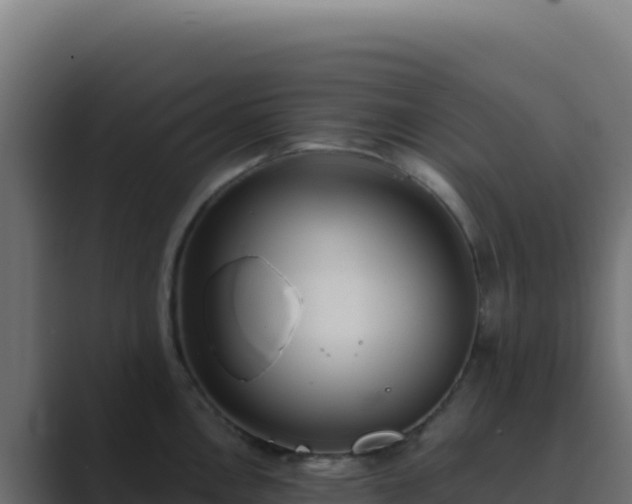 X0000089751146200706281621