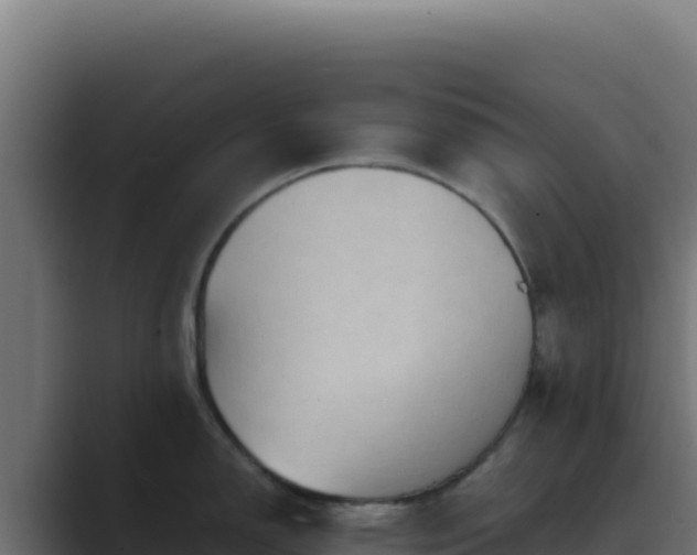 X0000089751150200706281621