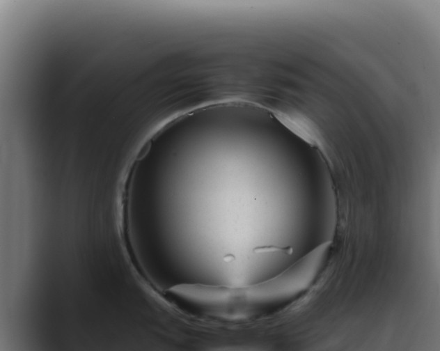 X0000089751151200706281621