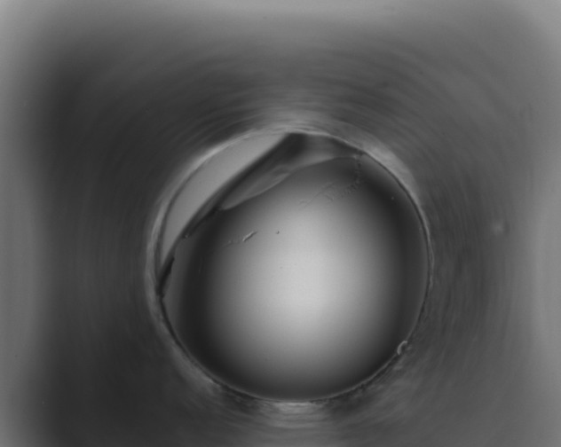 X0000089751152200706281621